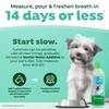TropiClean Fresh Breath Water Additive for Dogs, Dog Breath Freshener