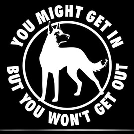Car Sticker Belgian Malinois Sticker 25 cm (9.8 Inch) Belgian Malinois Funny Warning Sign Sticker You Might Get In But You Won't Get Out Warning Sign Sticker Bumper Car Window Funny Decor