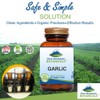 Pure Mountain Botanicals Garlic Pills Kosher Vegan Capsules with 500mg