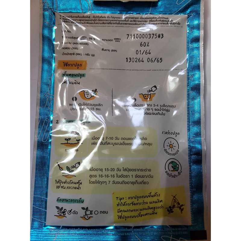 Purple Winged Bean Seeds