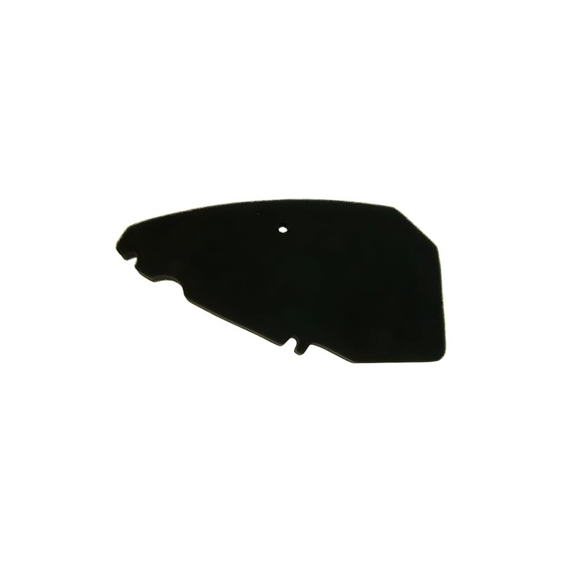 Vicma Air Filter Original Replacement for Piaggio Free, Derbi Atlantis