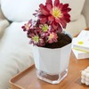 Samhe 3 Pack Self Watering Flower Pots 6.5 Inch, Plant