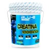 Creatina Monohidratada Blu-e Supplements Sabor Mora 5 Kg 1000 Porciones
