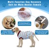 Puptoceed Dog Surgery Rrecovery Suit Dog Onesies for Surgery Recovery