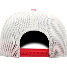 Collegiate Vintage Design Adjustable Hats, Nebraska, One Size