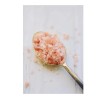 Evolution Salt - Himalayan Pink Salt Coarse Grind, 17 oz