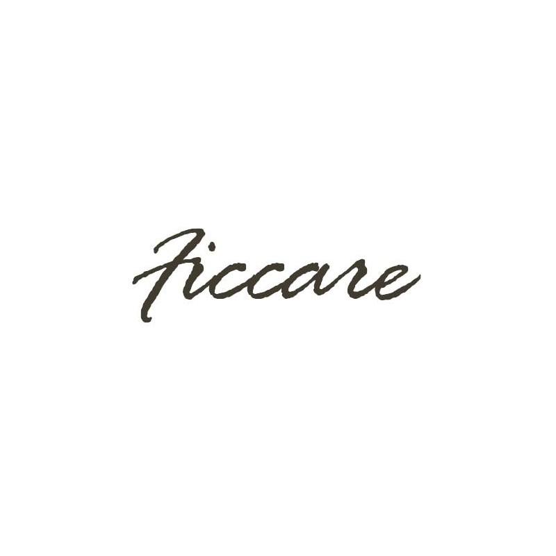 Ficcare Ella Headband Italian Acetate Hair Accessories in Tortoise color