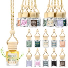 Funnymoom 20 Pcs Team Gifts Bulk Appreciation Gift Car Air Freshener Diffuser Hanging Car Empty Glass Essential Oil Diffuser Christmas Thank You Gifts for Employee Coworker Teachers Staff (Team)