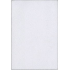 MACO White Rectangular Multi-Purpose Labels, 4 x 6 Inches, 40 Per Box (MS-6496)