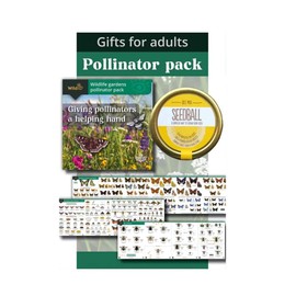 Green Feathers Natural Wooden Bug Hotel For Garden, Natural Materials - Attract Many Insects To Your Garden, Bees, Butterflies, Ladybirds, and Lots More (Small Bug Hotel & Pollinator Pack)