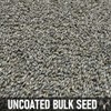 Crooked Bend BigAzz Switchgrass Seed, Bulk RC Big Rock Variety,