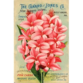 Vintage Seed Co. Reproduction Print 11 x 17 Conrad & Jones Co. #2