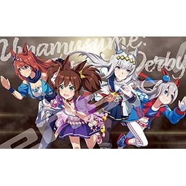 Uma Musume Pretty Derby Visual Art Series (3) 1000 Pieces (1000T-364) Jigsaw Puzzle