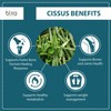 Cissus Powder (Cissus Quadrangularis/Hadjod) (200g / 7 Oz), Supports Bone