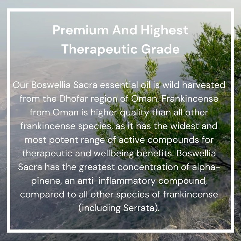 AAY’HAN | 100% Pure Frankincense (Sacra) Essential Oil from Oman