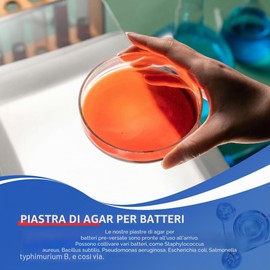 Kit di progetti scientifici per piatti di agar nutrienti e tamponi di cotone preversi per esperimenti scientifici | Kit scientifico batterico sigillato separatamente