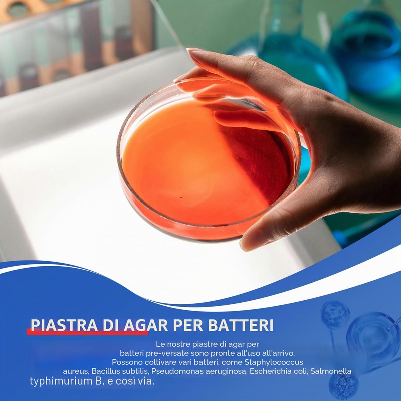 Kit di progetti scientifici per piatti di agar nutrienti e