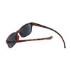 Calabria Designer Neck Hanging Reading Sunglasses Full UV Protection, Tortoise