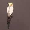 Toyo Case Hook Magnet Magnet Animal Till 5 Cockatiel MH-AN-05
