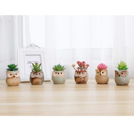 T4U 2.5 Inch Owl Ceramic Succulent Planter Pots with Drainage Hole Set of 6, Flowing Glaze Porcelain Handicraft Plant Holder Container Gift for Mom Sister Aunt Best for Home Office Garden Decoration