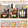 Under Sink Organizer, 2 Pack 2 Tier Under Sink Organizers