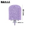 PAVIKE Nail Sharpening Step, Small Animals, Monga, Washable, Nail Sharpener,