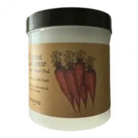 skin food Collection of 11 special Skin Food recipes, 60 lemongrass pads / 기획 스킨푸드 레시피 11종 모음 레몬그라스패드60매