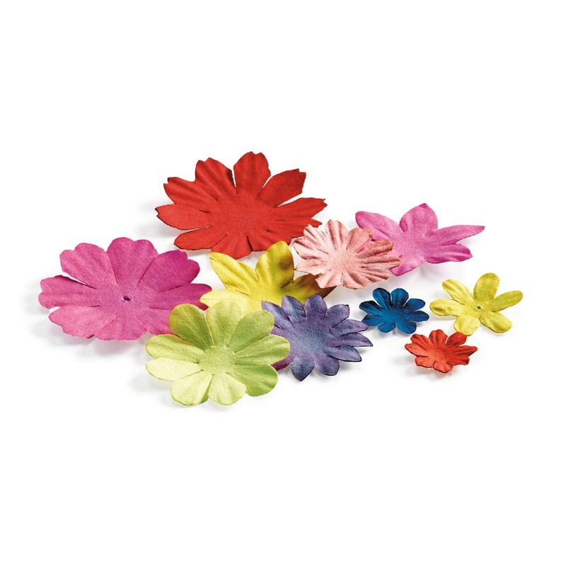 Djeco DJ09385 Coyoacan Surrealism Kit I