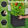 Legigo 2 Pack Tomato Cages with 17 Gallon Grow Bags-