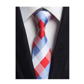 Ctskyte Men's Red Blue White Checks Jacquard Woven Silk Tie Valentine's day Necktie Gift