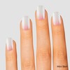 Dashing Diva Gloss Nail Strips Bundle - The Classic Ombre