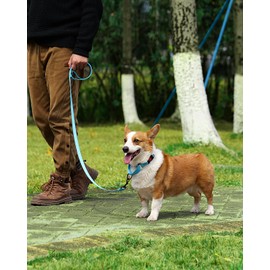 HSIGIO Martingale Collar for Dogs, Reflective Martingale Dog Collar and Leash Set, No Pull Adjustable Dog Training Collars with Quick Release Buckle for Medium Dogs(Sky Blue, M)