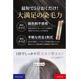 Hair Boteecra Botanical Air Color Foam EX Light Brown 80g Mother's Day Gift