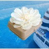 Biodegradable Water Burial Urn Kit - Cruise Approved | Ocean