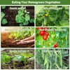 AGTEK 34" x 48" Foldable Cucumber Trellis with Garden Stakes