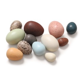 Youuys Wooden Bird Eggs Toys for Kids, Faux Easter Speckled Eggs DIY Art for Craft for Home Garden Decors, Cognitive Montessori Toy for Species Identification Early Educational Preschool Classroom