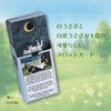 The Rabbit Tarot with Japanese Instructions (English Language Not Guaranteed)