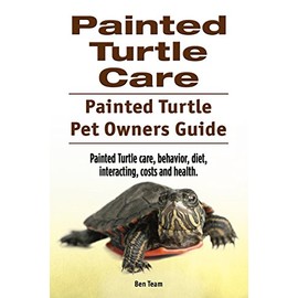 Painted Turtle Care. Painted Turtle Pet Owners Guide. Painted Turtle care, behavior, diet, interacting, costs and health.