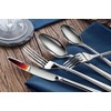 Cangshan 1027013 Rain II Series 20-Piece Stainless Steel 18/10 Forged