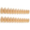 Barely There Nude Ombre Glossy Almond Press-On Nails - 24