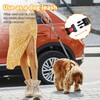 Removable Dog Seat Belt Harness for Car, 3 in 1