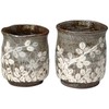 Kiyomizu Ware Seisen Kiln Tea Cup Set Hagigasane USE542