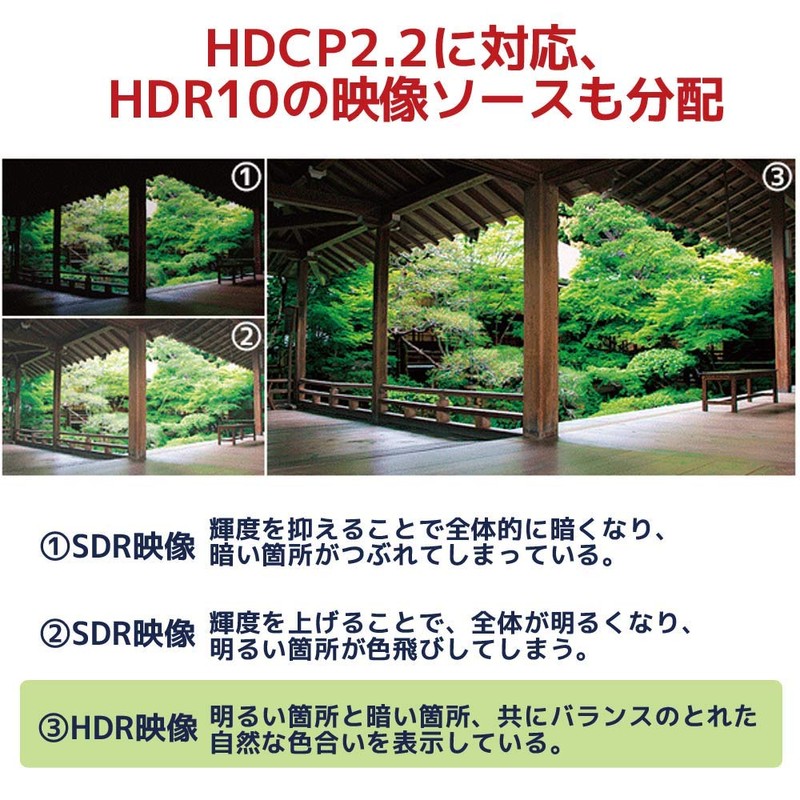 4K60Hz 1 in 8 Output HDMI Splitter RS-HDSP8P-4K