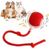 Interactive Cat Toys Ball for Indoor Cats, Interactive Rolling Small