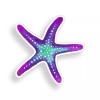 Real Sticky Purple Blue Starfish Sticker Beach Cup Cooler Car