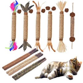 NSWXZDS Cat Toys 12Pack Cat Silvervine Toy Indoor Catnip Toys Cat Chew Stick with Feather Kitten Treat for Teeth Cleaning Kitty Dental Mint Snack Cat Molar Wood Food for Bordrom Exercise Interactive