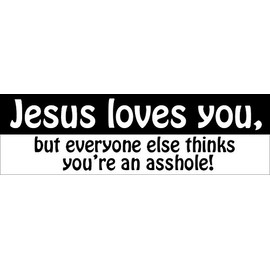 WYCO Products - "Jesus Loves You Everyone Thinks You're an Ahole - Funny - 3"x10" Bumper Sticker Vehicle Vinyl fun100113-3 x10-S