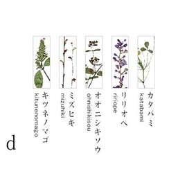 Tomei Chopsticks Rest D Set of 5 in Wooden Box