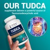 Dr. Berg TUDCA Supplement (Tauroursodeoxycholic Acid) - Powerful Formula for