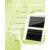 NAGARAKU Lash Clusters, DIY Cluster Lashes Individual Lashes Cluster Eyelash